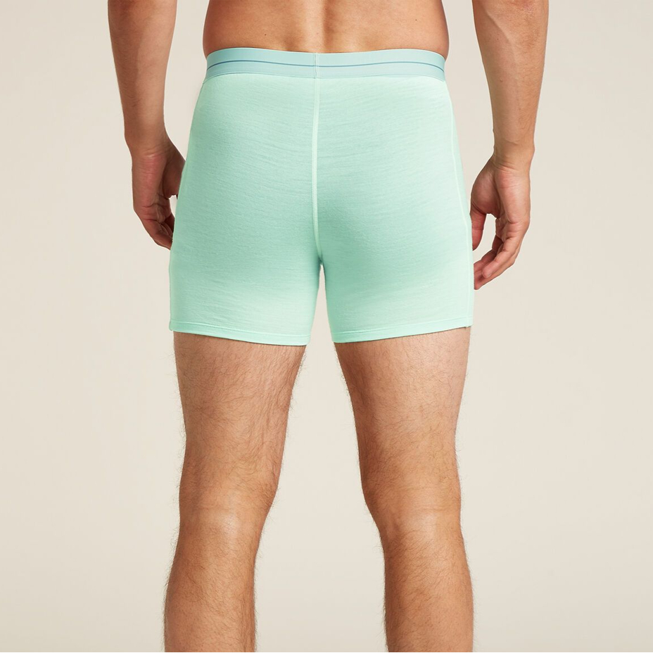 Men's boxer shorts Merino 150 Anatomica Boxers Icebreaker Mint