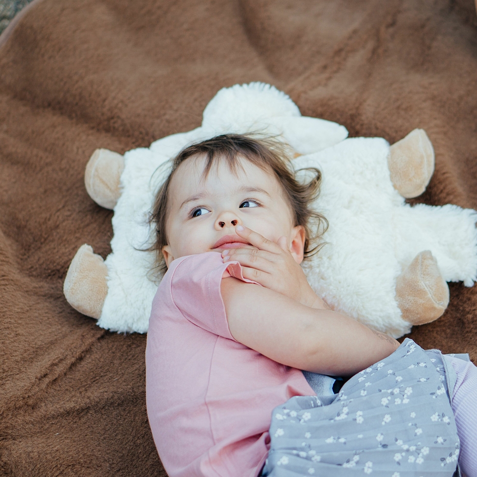 Folding Sheep Cushion