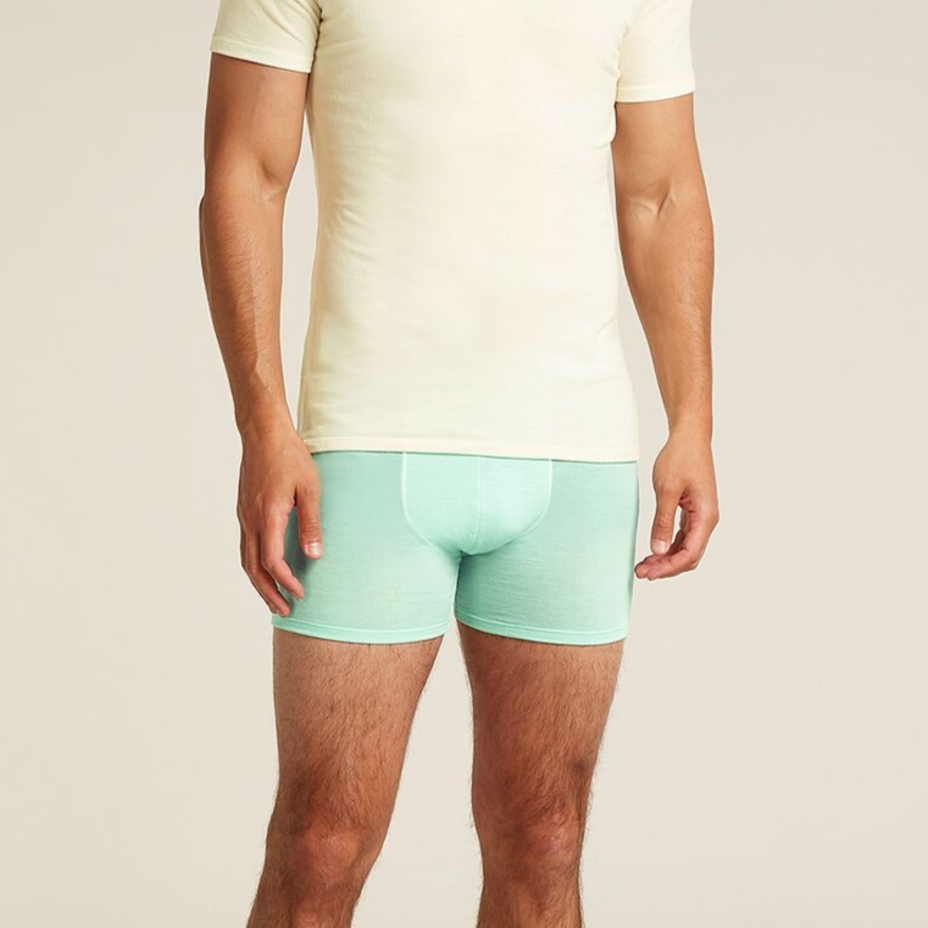 Men's boxer shorts Merino 150 Anatomica Boxers Icebreaker Mint