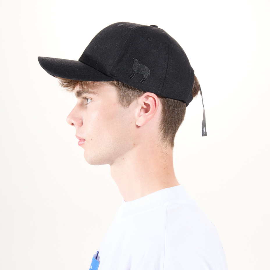 Merino Woolee Capsule wool cap black