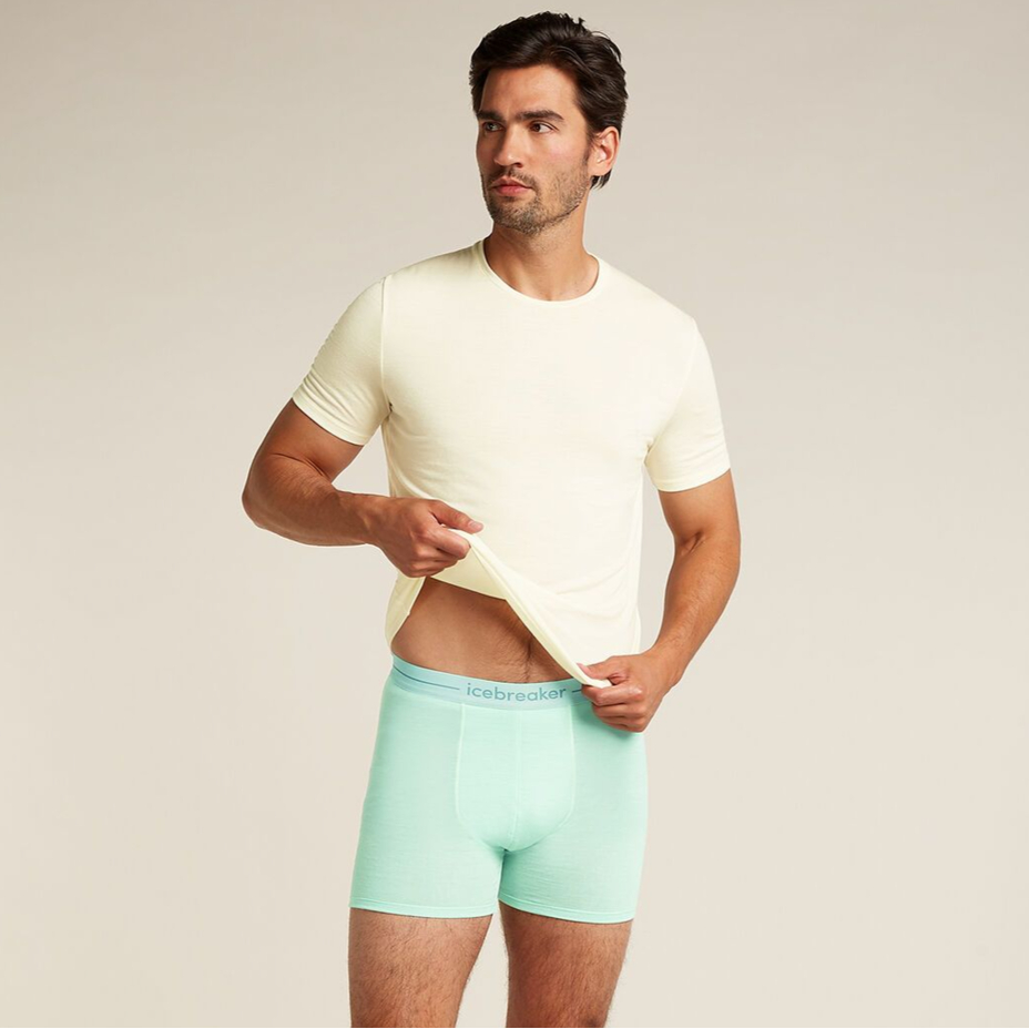 Men's boxer shorts Merino 150 Anatomica Boxers Icebreaker Mint