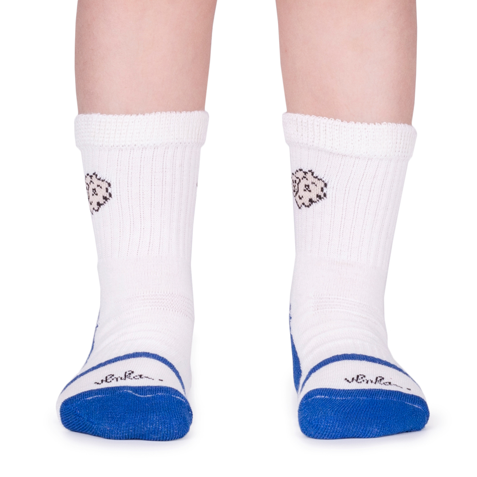 2 pairs Kids’ Merino Socks Blue