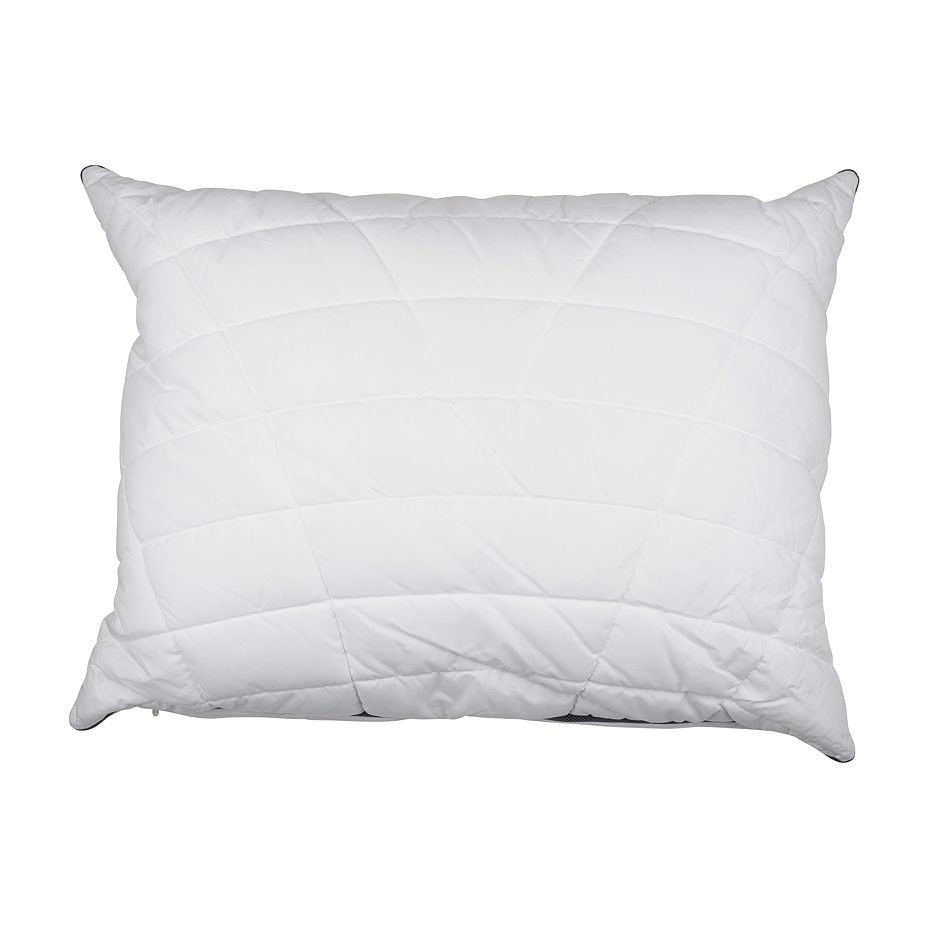 Pillow with organic cotton