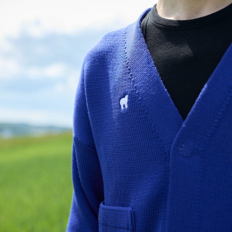 Merino Woolee Capsule wool cardigan blue
