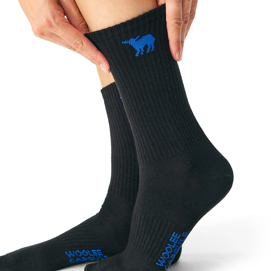 3 pairs of Woolee Capsule cotton socks