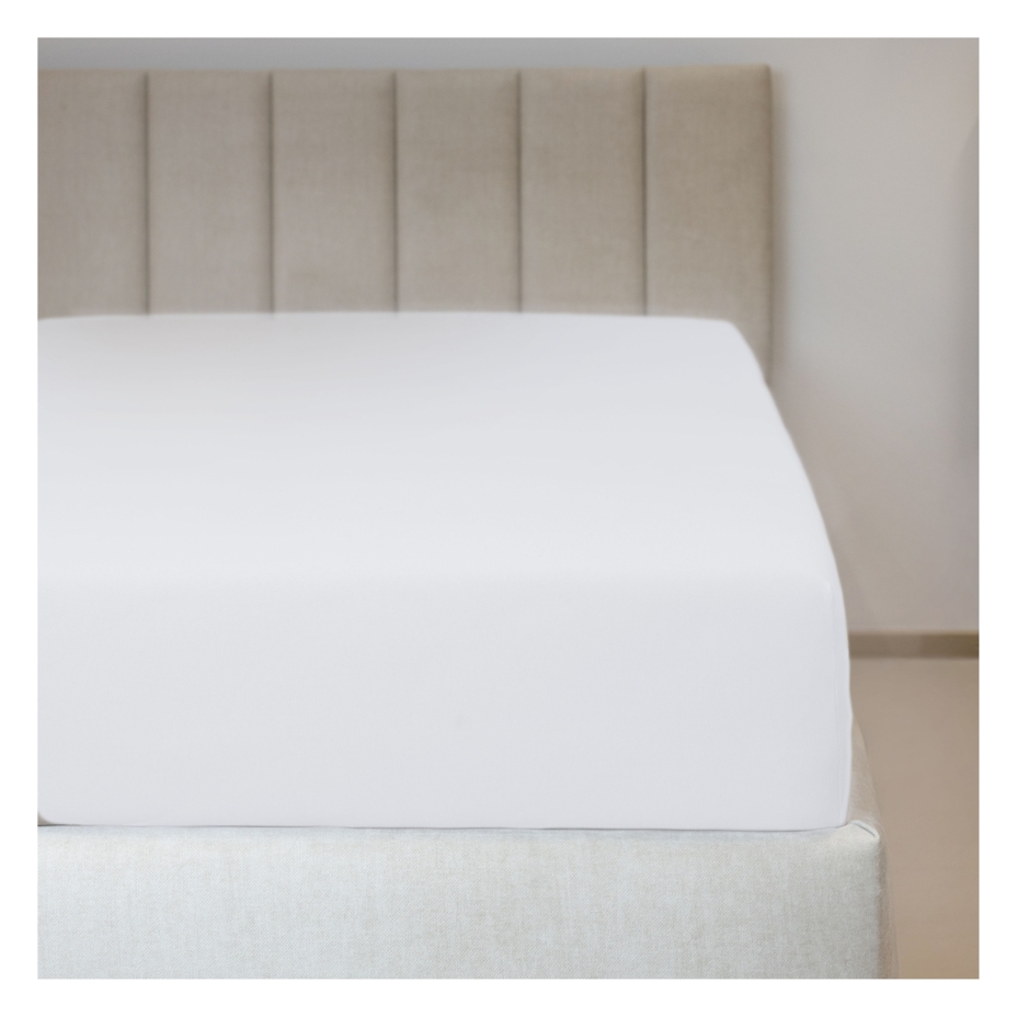 Cotton Jersey sheet white