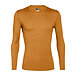 Men's Performance 200 OASIS ICEBREAKER Merino Top Beige