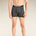 Men's boxer shorts Merino 150 Anatomica Boxers Icebreaker Gristone