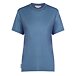 Women's T-shirt Merino 150 Tech Lite SS Relaxed Tee Icebreaker Dawn
