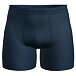Men's functional boxer shorts Icebreaker Merino Anatomica Atlantis